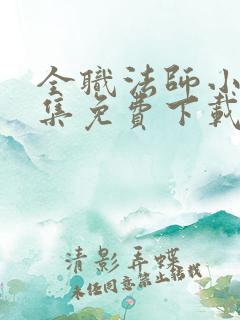 全职法师小说全集免费下载