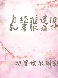 月经推迟10天乳房胀痛什么原因