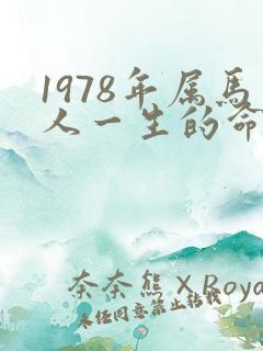 1978年属马人一生的命运