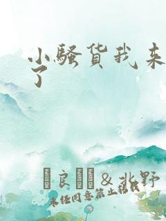 小骚货我来操你了