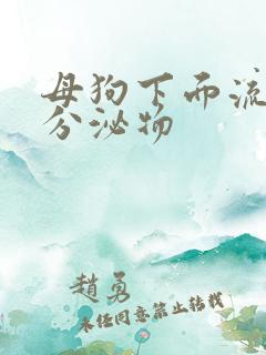 母狗下面流白色分泌物