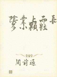 阴囊上面长了很多小颗粒