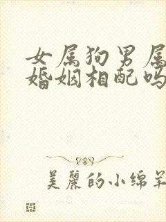 女属狗男属猴的婚姻相配吗