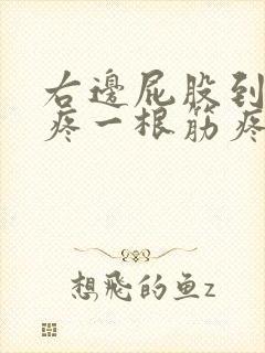 右边屁股到脚跟疼一根筋疼