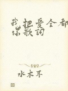 我把爱全都给了你歌词