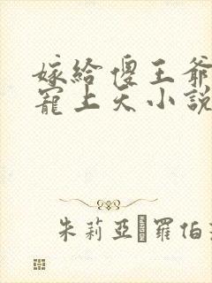 嫁给傻王爷后被宠上天小说阅读