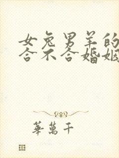 女兔男羊的属相合不合婚姻