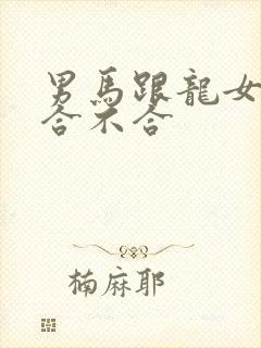 男马跟龙女属相合不合