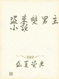 盗墓双男主推荐小说