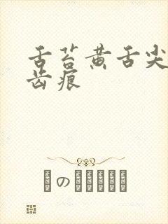 舌苔黄舌尖红有齿痕