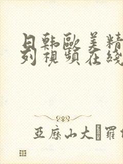 日韩欧美精品系列视频在线