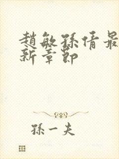 赵敏孙倩最新更新章节