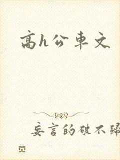 高h公车文