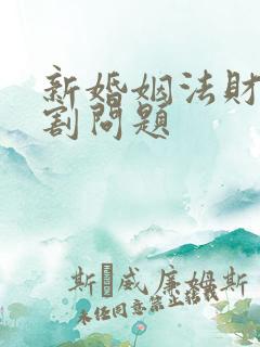 新婚姻法财产分割问题