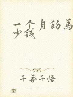 一个月的马犬多少钱