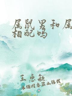 属鼠男和属牛女相配吗