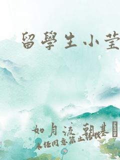 留学生小莹黑人