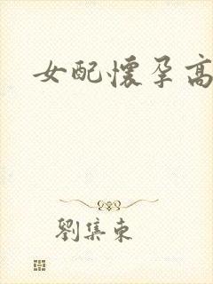 女配怀孕高h