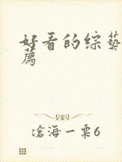 好看的综艺 推荐