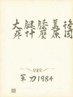 大腿膝盖后面筋疼什么原因