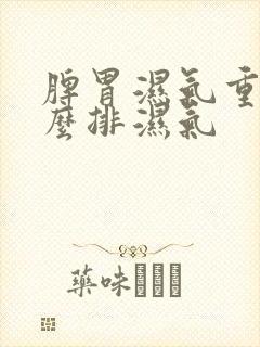 脾胃湿气重吃什么排湿气