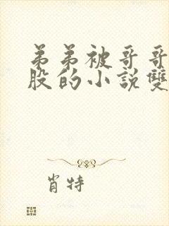 弟弟被哥哥打屁股的小说双男主