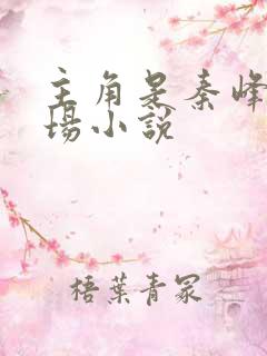 主角是秦峰的官场小说