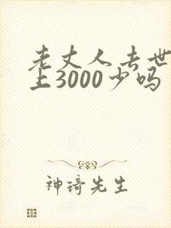 老丈人去世女婿上3000少吗