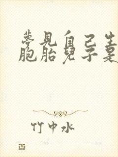 梦见自己生了三胞胎儿子是什么预兆