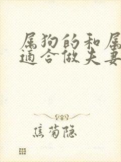 属狗的和属蛇的适合做夫妻吗