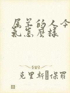 属羊的人今天运气怎么样