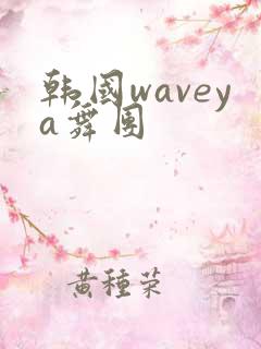韩国waveya舞团