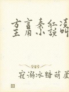 方言秦红凌小说主角小说叫啥