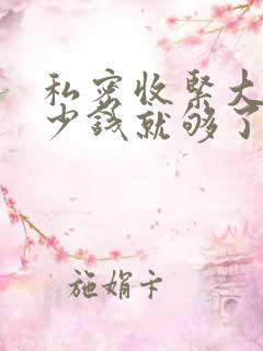 私密收紧大概多少钱就够了