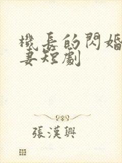 机长的闪婚小娇妻短剧