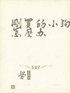 刚买的小狗拉稀怎么办