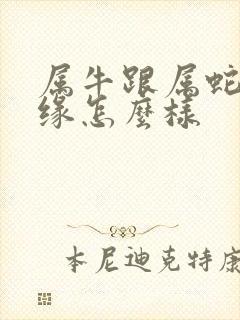 属牛跟属蛇的姻缘怎么样