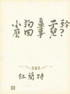 小狗鼻子干是怎么回事儿?