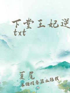 下堂王妃逆袭记 txt
