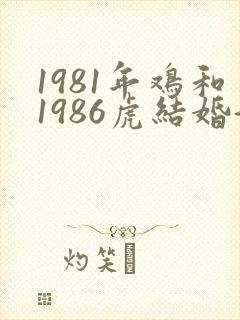 1981年鸡和1986虎结婚好不好