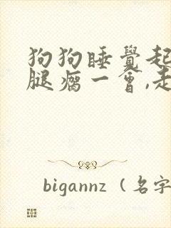 狗狗睡觉起来前腿瘸一会,走走就好了