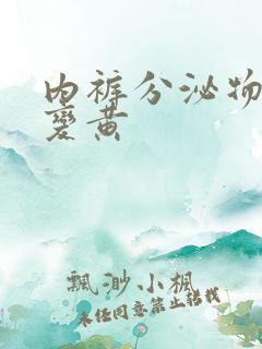 内裤分泌物增多变黄