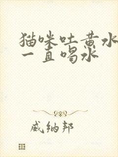 猫咪吐黄水然后一直喝水