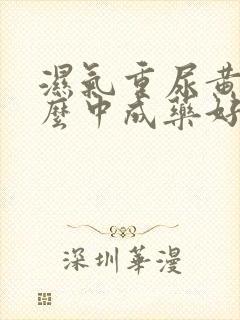 湿气重尿黄吃什么中成药好