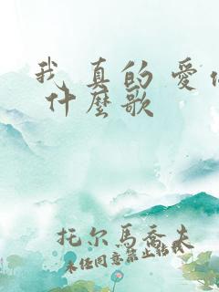 我 真的 爱你 什么歌