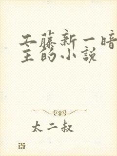 工藤新一暗恋女主的小说