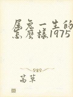 属兔一生的命运怎么样1975