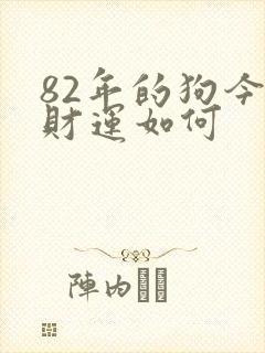 82年的狗今年财运如何