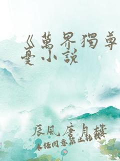 《万界独尊》无忧小说