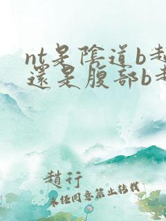 nt是阴道b超还是腹部b超